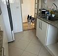 Vaga Em Apartamento [para Mulheres E Gays]