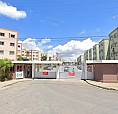 Alugo Apartamento