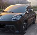 Byd Dolphin Mini (Elétrico) 2025