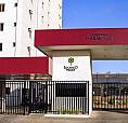 Apartamento No Harmonia 