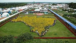 Alugo Apartamento Para O Show Rural