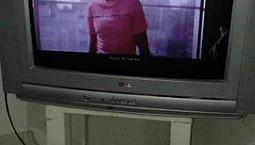 Televisão Lg 29' Com Conversor E Antena