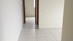 Alugo Apartamento De 1 Quarto Palhoça