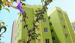 Apartamento 2 Dormitórios No Polvilho, Cajamar