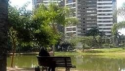 Dividir Aluguel No Jardim 1290