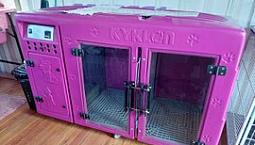 Troco Por Carro,  Pet Shop Container,  Completo 