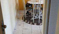 Apartamento Camélias