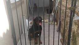 Vendo Ágio Ou Alugo Apartamento No Valparaíso Go 