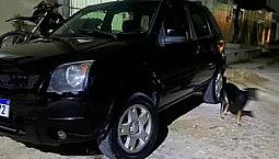 Ecosport