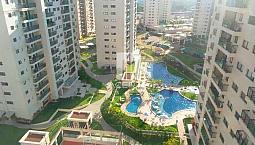 Alugo Apartamento Jardins, 94M, 3 Quartos, Projetado