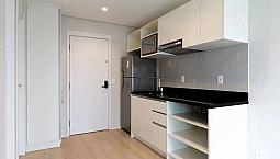 Apartamento Para Alugar Possui 39 Metros Quadrados Com 1 Quarto Em Pinheiros - São Paulo -