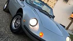 Puma Gts 