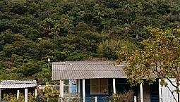 Alugo Casa Na Armação Do Pântano 3 Mil Até Novembro 