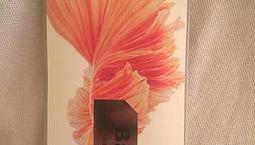 Bateria Apple Iphone 6s 1715mah