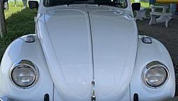 Fusca 1300L 1979 Colecionador