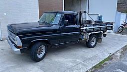 Ford F1000 1990