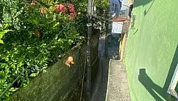 Casa Para Alugar Camaragibe 