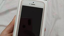 Iphone Se Rose