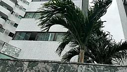 Apartamento Para Aluguel Com 50 Metros Quadrados Com 2 Quartos Em Boa Viagem - Recife - Pe
