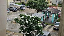 @ Vendo Apartamento No Ideal Samambaia 