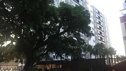 Porto Alegre - Apartamento Padrão - São João