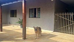 Casa A Venda No Jardim Antares Terreno 300 Metros
