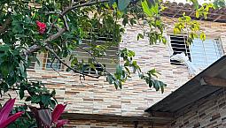 Alugo Casa Em Salgadinho Olinda 