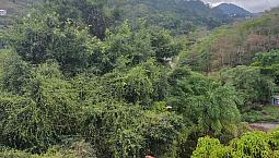Lindo Apartamento De 2 Quartos Na Vargem Dos Marmelos Em Itaipava Petrópolis Rj 