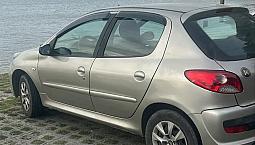 Peugeot 207 Xr 1.4 Flex 8V 5P 2011