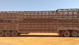 Carreta Boiadeiro