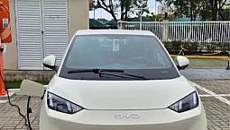 Byd Dolphin Mini (Elétrico) 2025