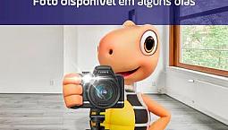 Vendas Apartamento Curitiba Pr