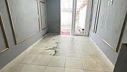 Casa 3 Qts Sendo 1 Suíte  (Bairro Independência 3º Complemento)