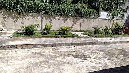 Freguesia ( Firmino Do Amaral )