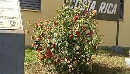 Apartamento À Venda Com 2 Dormitórios Em Presidente Dutra, Ribeirão Preto Cod:ap1578