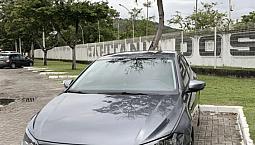 Volkswagen Polo Highline 200 Tsi 1.0 Flex 12v Aut. 2020