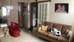Apartamento À Venda Com 2 Dormitórios Em Cidade Baixa, Porto Alegre Cod:9887835