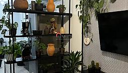 Apartamento À Aluguel Em Uberlândia