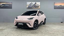 Byd Dolphin Mini (Elétrico) 2025
