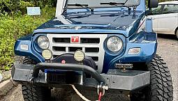 Troller T-4 4X4 3.0 Tb Int. Cap. Rígida Diesel 2012