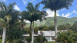 Casa Com 5 Dormitórios À Venda, 876 M² Por R$ 8.000.000,00 - Recreio Dos Bandeirantes - Ri