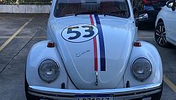 Lindo Fusca 1969 ? Herbie 53?