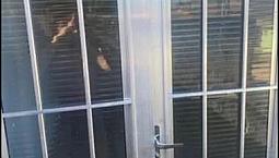 Casa Para Alugar Santa Lúcia