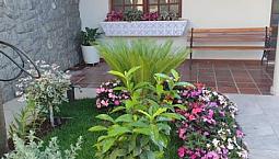Aluguel Casa 