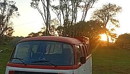 Volkswagen Kombi Standard/ Luxo/ Serie Prata 1994