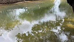 Banho No Água Boa Um Paraíso Metade Do Preço
