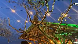 Casa Comercial Na Praia Do Rosa 