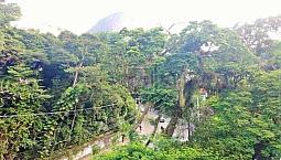 Apartamento À Venda Na Gávea, Próximo Puc, 3 Quartos, Cozinha Planejada Espaçosa, 2 Vagas.