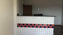 Apartamento Para Aluguel Possui 45 Metros Quadrados Com 2 Quartos Em Samambaia Norte - Bra