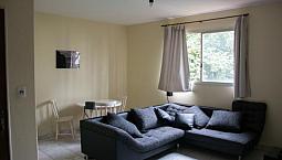 Apto 3 Dorm No Jardim Paraíso Em Campinas